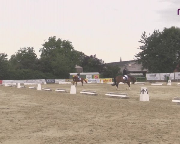 Reitturnier Hünxe-Bruckhausen 2020