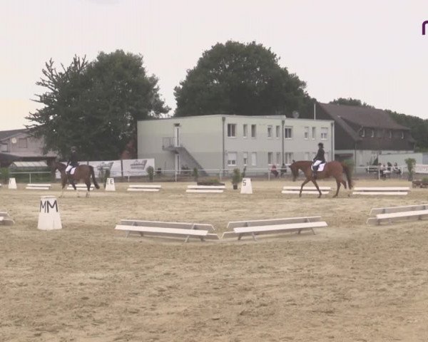 Reitturnier Hünxe-Bruckhausen 2020