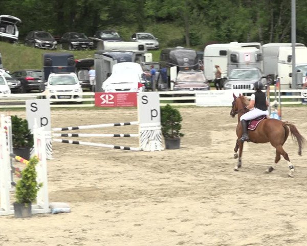 Reitturnier Aesch (Neftenbach) 2020