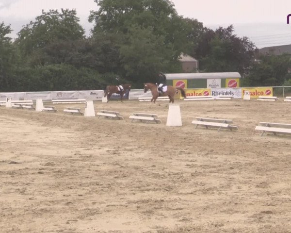 Reitturnier Hünxe-Bruckhausen 2020