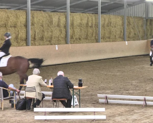 Reitturnier Reitanlage Birkenhof, Perl-Sinz 2020