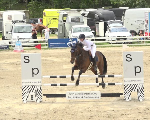 Reitturnier Aesch (Neftenbach) 2020