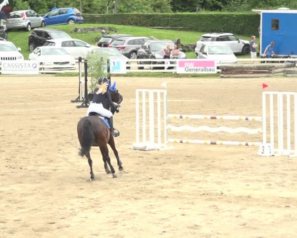 Reitturnier Aesch (Neftenbach) 2020
