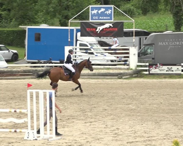 Reitturnier Aesch (Neftenbach) 2020
