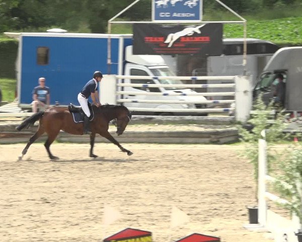 Reitturnier Aesch (Neftenbach) 2020