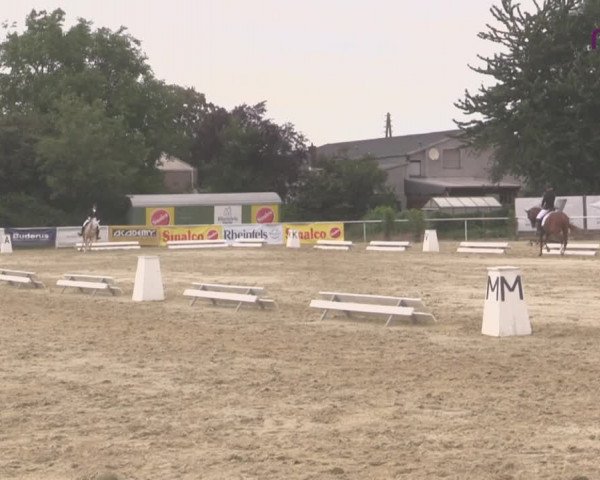 Reitturnier Hünxe-Bruckhausen 2020