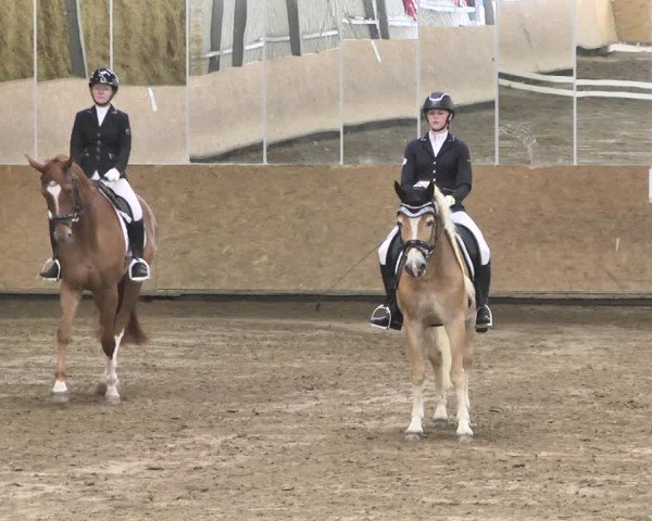 Reitturnier Reitanlage Birkenhof, Perl-Sinz 2020