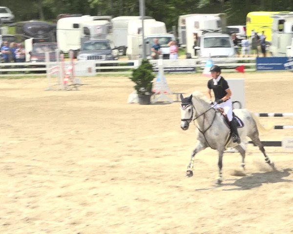 Reitturnier Aesch (Neftenbach) 2020