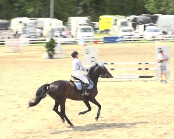 Reitturnier Aesch (Neftenbach) 2020