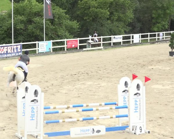 Reitturnier Aesch (Neftenbach) 2020