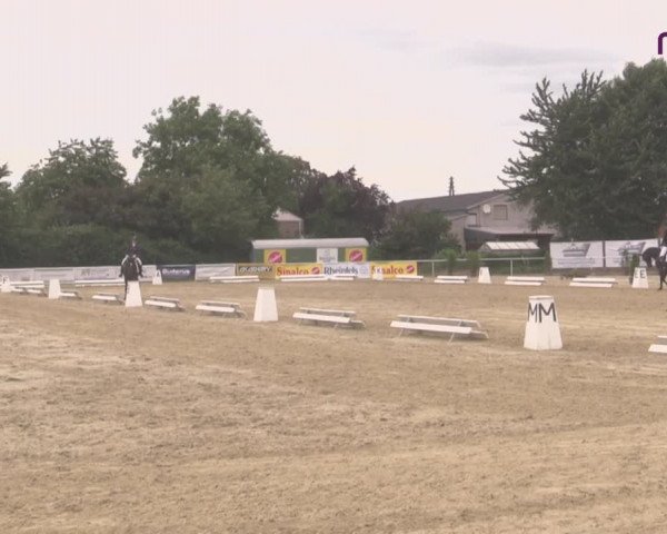 Reitturnier Hünxe-Bruckhausen 2020