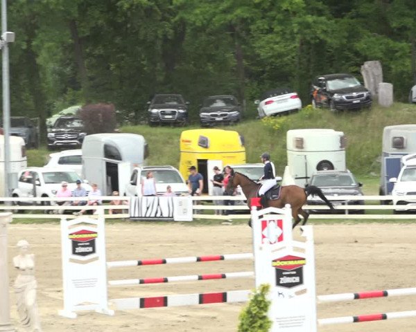 Reitturnier Aesch (Neftenbach) 2020