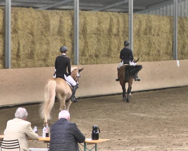 Reitturnier Reitanlage Birkenhof, Perl-Sinz 2020