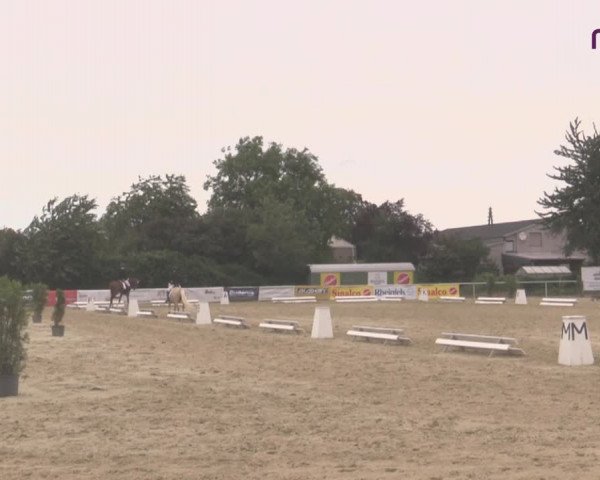 Reitturnier Hünxe-Bruckhausen 2020