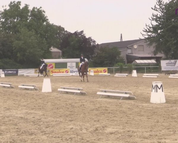 Reitturnier Hünxe-Bruckhausen 2020