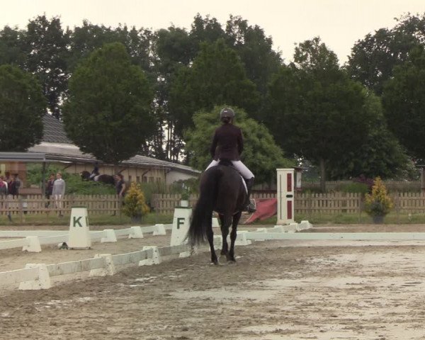 Reitturnier Schülp / Rendsburg 2020