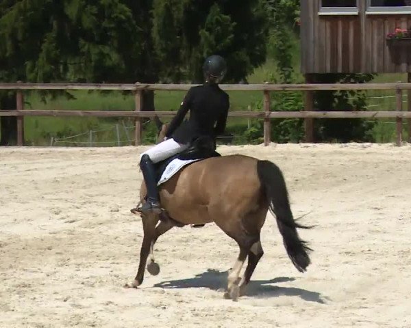 Reitturnier Birkenreuth/Ofr. 2020