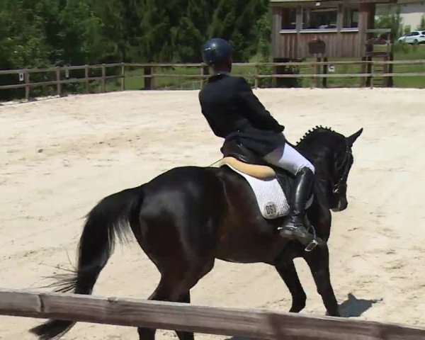 Reitturnier Birkenreuth/Ofr. 2020