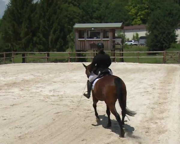 Reitturnier Birkenreuth/Ofr. 2020