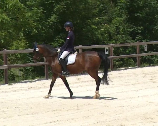 Reitturnier Birkenreuth/Ofr. 2020