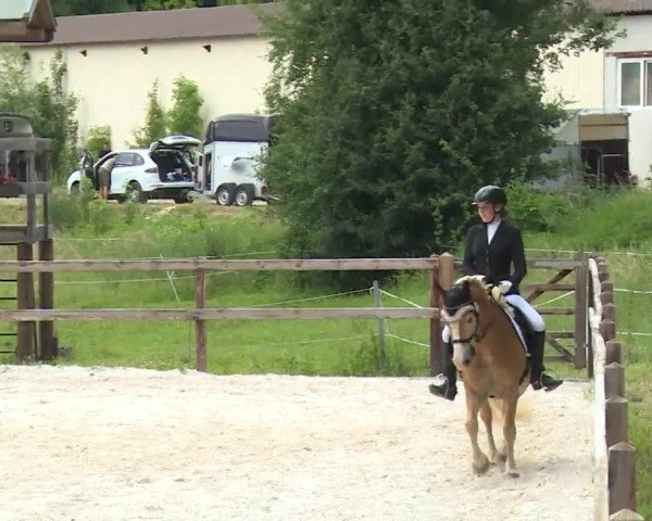 Reitturnier Birkenreuth/Ofr. 2020