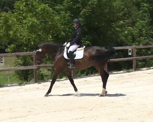 Reitturnier Birkenreuth/Ofr. 2020