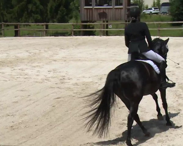 Reitturnier Birkenreuth/Ofr. 2020