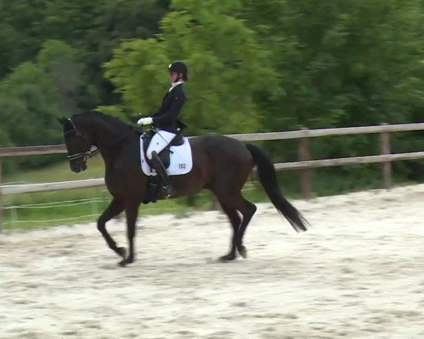 Reitturnier Birkenreuth/Ofr. 2020