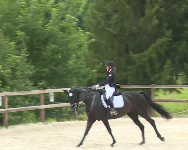 Reitturnier Birkenreuth/Ofr. 2020