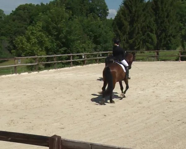 Reitturnier Birkenreuth/Ofr. 2020