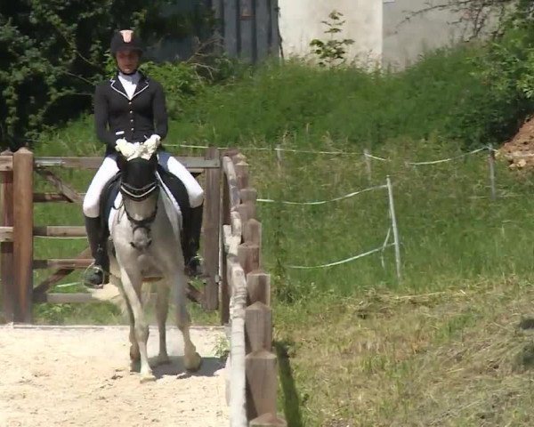 Reitturnier Birkenreuth/Ofr. 2020