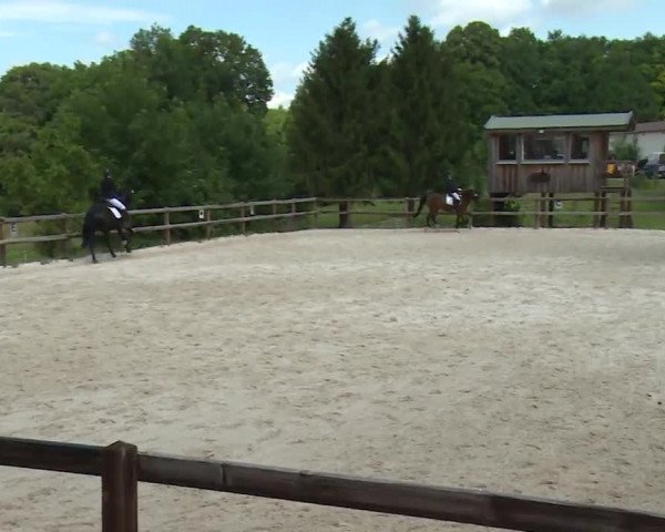 Reitturnier Birkenreuth/Ofr. 2020
