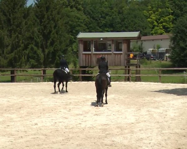 Reitturnier Birkenreuth/Ofr. 2020