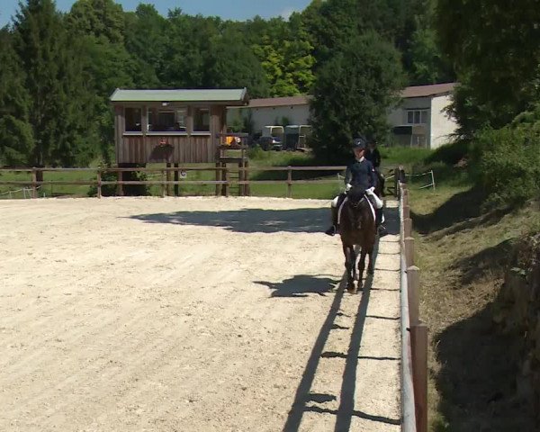 Reitturnier Birkenreuth/Ofr. 2020