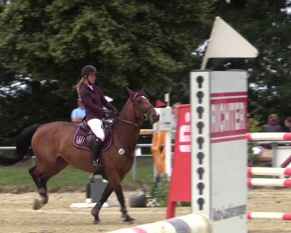 Reitturnier Coesfeld/Lette 2020