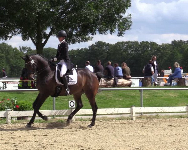 Reitturnier Coesfeld/Lette 2020