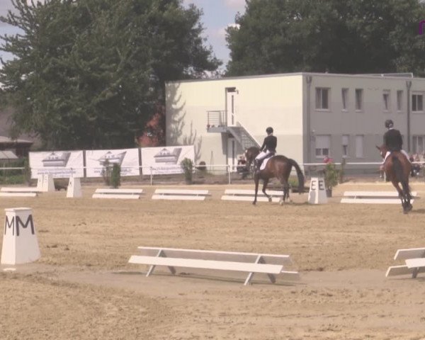 Reitturnier Hünxe-Bruckhausen 2020