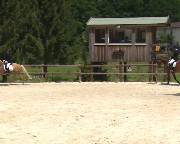 Reitturnier Birkenreuth/Ofr. 2020