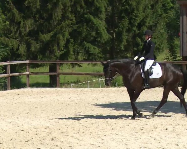 Reitturnier Birkenreuth/Ofr. 2020