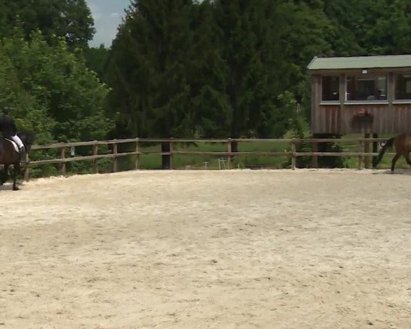 Reitturnier Birkenreuth/Ofr. 2020