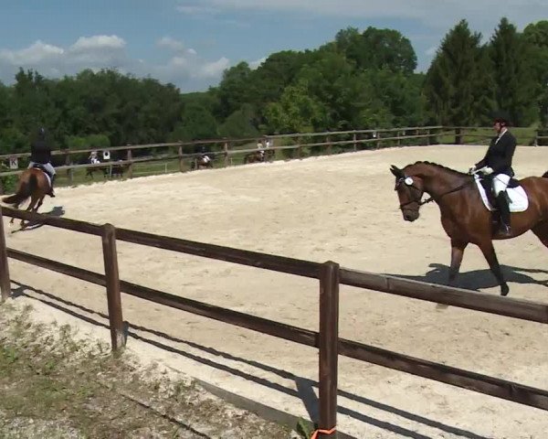 Reitturnier Birkenreuth/Ofr. 2020
