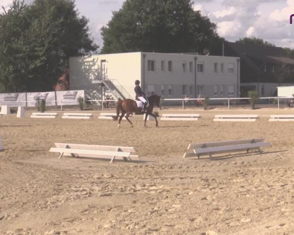 Reitturnier Hünxe-Bruckhausen 2020