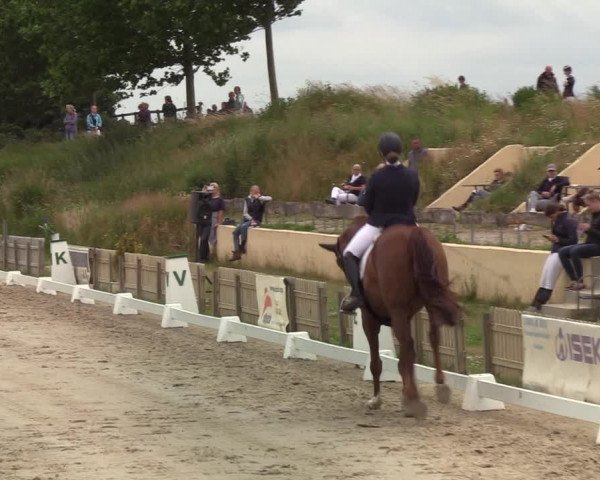 Reitturnier Schülp / Rendsburg 2020