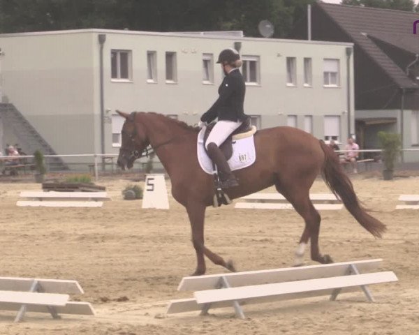 Reitturnier Hünxe-Bruckhausen 2020