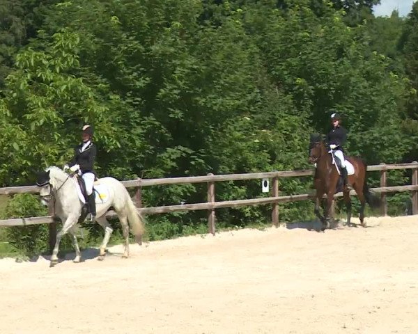 Reitturnier Birkenreuth/Ofr. 2020