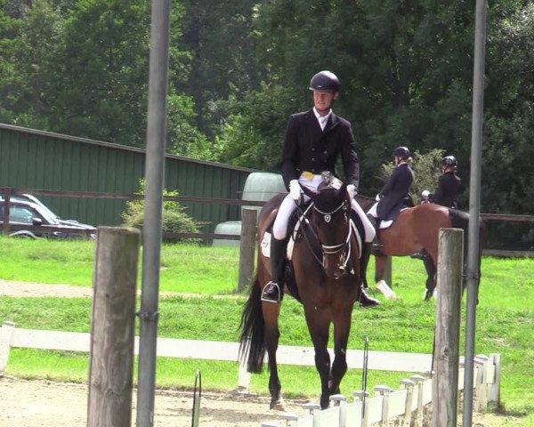 Reitturnier Coesfeld/Lette 2020