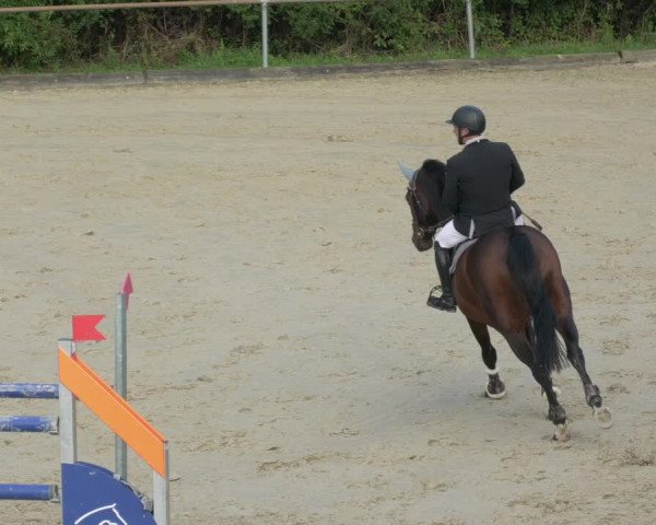 Reitturnier Leingarten 2021