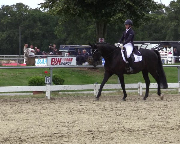 Reitturnier Coesfeld/Lette 2020