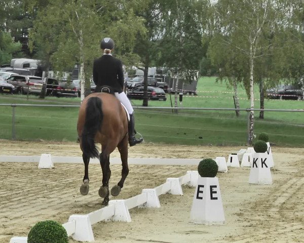 Reitturnier Reitanlage Birkenhof, Perl-Sinz 2020