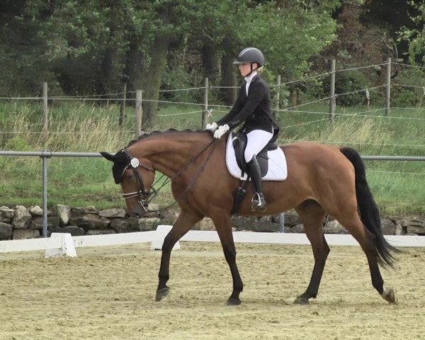 Reitturnier Reitanlage Birkenhof, Perl-Sinz 2020